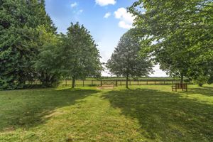 Photo 30- click for photo gallery